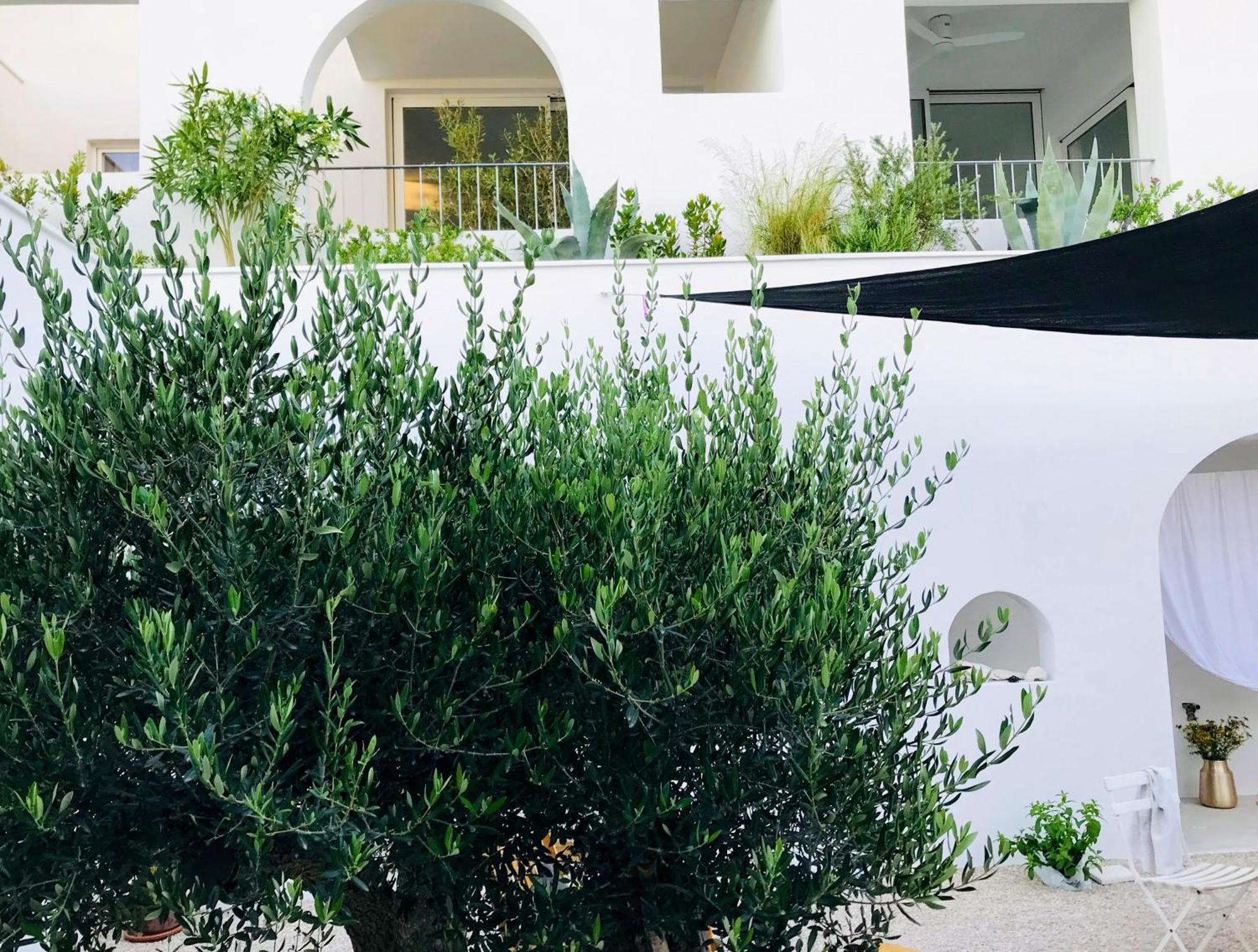 Sol Melba Boutique Studios - Maslinica Ngoại thất bức ảnh